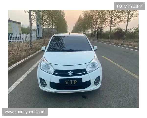 2013款铃木新奥拓保养灯归零