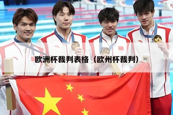 欧洲杯裁判表格（欧州杯裁判）
