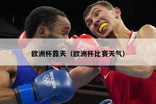 欧洲杯露天（欧洲杯比赛天气）