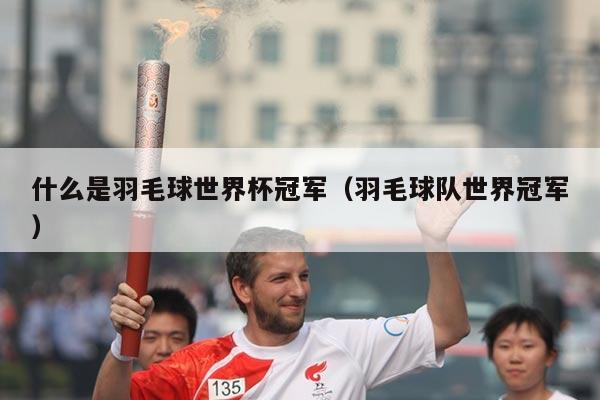 什么是羽毛球世界杯冠军（羽毛球队世界冠军）