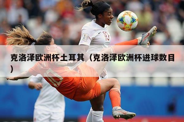克洛泽欧洲杯土耳其(克洛泽欧洲杯进球数目)